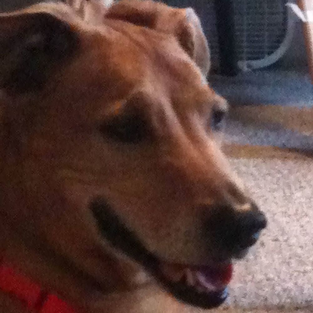 Meet your Posher, Kalla